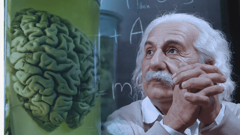 What Is Neuro Energizer